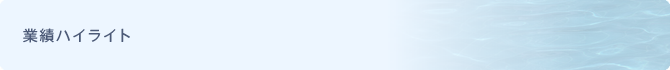 業績ハイライト